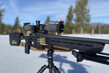 IMG_0254.jpeg IMG_0254.jpeg