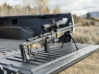 IMG_0896.jpeg IMG_0896.jpeg