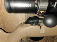 20250228_090817.jpg 20250228_090817.jpg