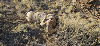 20251121_145904 copy.jpg