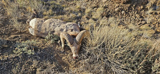 20251121_145914(0) copy.jpg