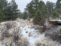 IMG_1464 Medium.jpeg