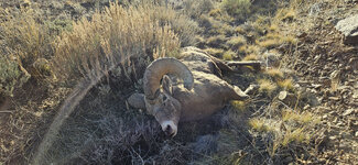 20251121_145934 copy.jpg