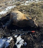 IMG_3950.jpeg IMG_3950.jpeg