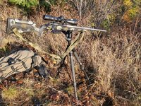 20251031_091855.jpg 20251031_091855.jpg