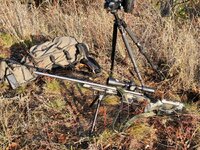 20251031_091445.jpg 20251031_091445.jpg