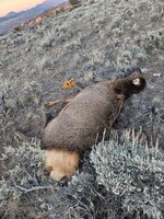 1000003839.jpg 1000003839.jpg