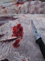 1000003840.jpg 1000003840.jpg