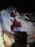 1000003842.jpg 1000003842.jpg