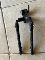 IMG_5519.jpeg IMG_5519.jpeg