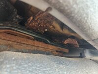 1000002225.jpg 1000002225.jpg