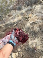 IMG_0224.jpeg IMG_0224.jpeg