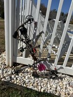 IMG_2227.jpeg IMG_2227.jpeg