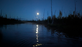 1764119664980.png 1764119664980.png