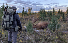 1764119704697.png 1764119704697.png