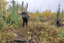 1764119833284.png 1764119833284.png