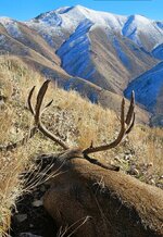 1000016456.jpg 1000016456.jpg