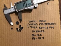 PH2 7prc 100m 195 Berger N570 74.0g.jpg