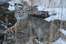 IMG_2943 copy.jpg IMG_2943 copy.jpg