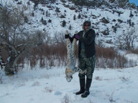 DSCN1557 copy.jpg DSCN1557 copy.jpg