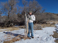 DSCN2356 copy.jpg DSCN2356 copy.jpg