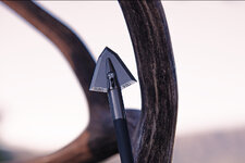 IMG_8630.jpeg IMG_8630.jpeg