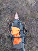 1000008550.jpg 1000008550.jpg