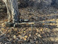 IMG_8868.jpg IMG_8868.jpg