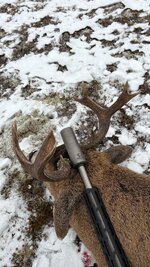 IMG_1581.jpg IMG_1581.jpg