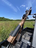 1764180028972.jpeg 1764180028972.jpeg