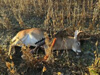 573623255_3112726685574560_560272036837610323_n.jpg 573623255_3112726685574560_560272036837610323_n.jpg