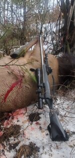 Screenshot_20251126-190031_Gallery.jpg Screenshot_20251126-190031_Gallery.jpg