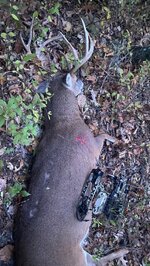 IMG_3450.jpeg IMG_3450.jpeg