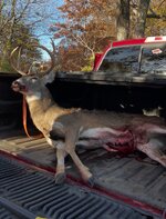 IMG_3451.jpeg IMG_3451.jpeg