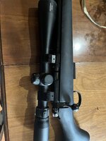 IMG_5810.jpeg IMG_5810.jpeg