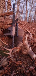 20251126_175122.jpg 20251126_175122.jpg