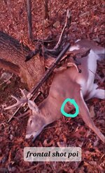 Screenshot_20251127-092943_Gallery.jpg Screenshot_20251127-092943_Gallery.jpg