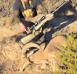 4613266074196666105.jpeg 4613266074196666105.jpeg