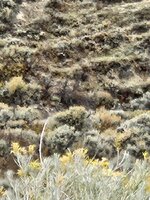 1000000159.jpg 1000000159.jpg