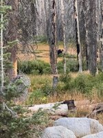 IMG_0413.jpeg IMG_0413.jpeg