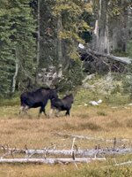 IMG_0417.jpeg IMG_0417.jpeg