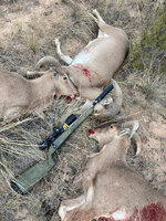 9402D061-F7E5-4E59-8246-A804A52E956B.jpeg 9402D061-F7E5-4E59-8246-A804A52E956B.jpeg