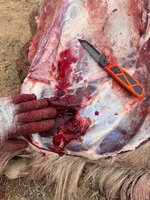 08BB9E5F-01EA-41AF-BBE6-DB0569BC7724.jpeg 08BB9E5F-01EA-41AF-BBE6-DB0569BC7724.jpeg