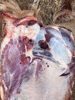 42605E3E-1BF8-4AF3-983E-8380C61B6A74.jpeg 42605E3E-1BF8-4AF3-983E-8380C61B6A74.jpeg