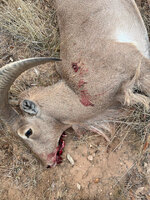 8D5D05F3-45A3-4B68-ADFE-3A057A263F97.jpeg 8D5D05F3-45A3-4B68-ADFE-3A057A263F97.jpeg