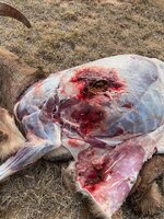 47D40285-91D1-4ABB-8219-E7C511A6DE1E.jpeg 47D40285-91D1-4ABB-8219-E7C511A6DE1E.jpeg