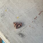 3C7EBD39-B878-4B6C-BD5A-664C1350883F.jpeg 3C7EBD39-B878-4B6C-BD5A-664C1350883F.jpeg