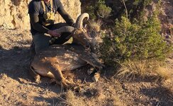 A293AF3E-B806-4639-ACB2-E0882A9508E1 (1).jpeg A293AF3E-B806-4639-ACB2-E0882A9508E1 (1).jpeg