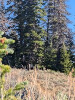 1000021881.jpg 1000021881.jpg