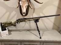 IMG_2024.jpeg IMG_2024.jpeg